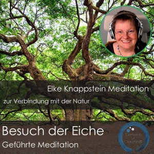 meditation_eiche_500x500_002a